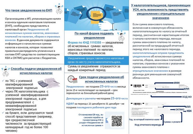foto 2025 07 25 08 38 002